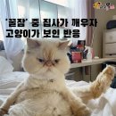 꿀잠 이미지