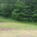 사기소리 이미지