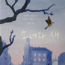 카스타나 이미지