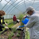충청남도 예산군 치매안심센터 이미지