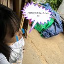 지도교수 : 가구사장님