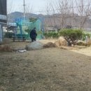 우진농산 네이버블로그