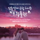 트립플랜에 대한 자주묻는 질문들!