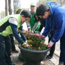 매교동주민센터 이미지