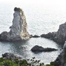 서귀포종합관광안내소 이미지