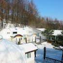 숲속의 이글루 이미지