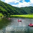 금강국제여행사