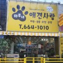 마루네 애견사랑 이미지