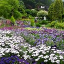 고요하우스 이미지