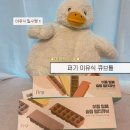 키즈마일 퍼기 | 이유식 1등 준비물 필수템 이유식 큐브 솔직후기