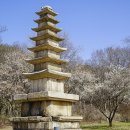 용비쉼터 이미지