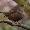 상계종합사회복지관 이미지