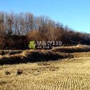 특구로27번길 이미지