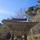 용연사주차장 | 대구 용연사를 다녀와서｜조용히 걷기 좋은 대구 근교 사찰 여행