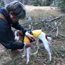 (주)산강아지 이미지