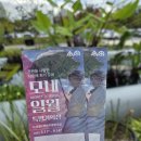 GS25 수원일월점 | 일월수목원, 수원 스타필드 후기