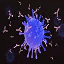 신원하이퍼 이미지