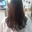 킹스헤어 이미지