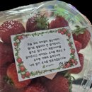 산새반 장이윤의 🍓딸기크림빵 &amp; 딸기찹쌀떡🍓만들기 이미지