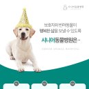 시니어 동물병원 이미지