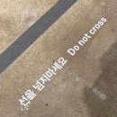 그루밍조이 | 고양이 식비를 위해 일하고 있습니다