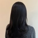 오늘염색 이미지