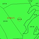 완도공인중개사사무소 이미지