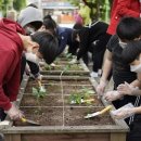 광산중학교 이미지