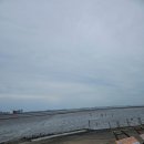 오이도어촌체험휴양마을 | [내돈내산] 오이도어촌체험마을 갯벌 체험