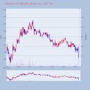 다올미르 이미지