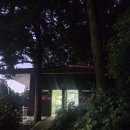 대티마을 대티교 밑 이동식화장실 | 부산에도 이런 숲길이? 서구종단 트레킹 30km 후기 (여름 추천 코스)