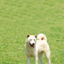 여주-0561 Daum카페