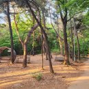 우장산공원길 이미지