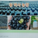 동곡농장 이미지