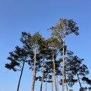 새실1길 이미지