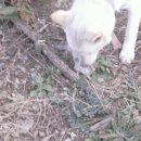 가장농장 이미지