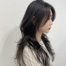 미녀미용실 이미지