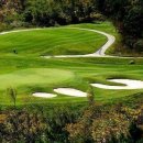 아리랑 커피호프 이미지