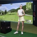 더스크린골프 이미지