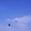 한성국제 이미지