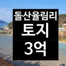 돌산공인중개사사무소 이미지