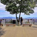 우면산3-24 이미지