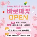 바로