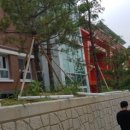 용호병설유치원 이미지