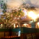 쪼끼쪼끼2 이미지