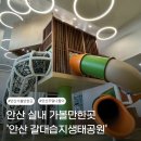 갈대습지공앞앞 | [안산] 🌿 폭염 속 꿀같은 실내 나들이! '안산갈대습지 생태누리관' 찐후기 (주차·체험·꿀팁 총정리)