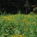 한결농장 이미지