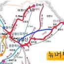 아랫대티 숲 Daum카페