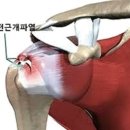 오정본병원 이미지