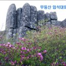 할리데이플래너스㈜ 이미지